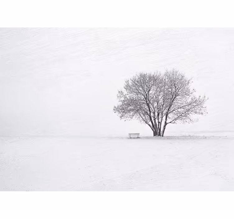 Tenda a rullo bianca design invernale albero di neve - TenStickers