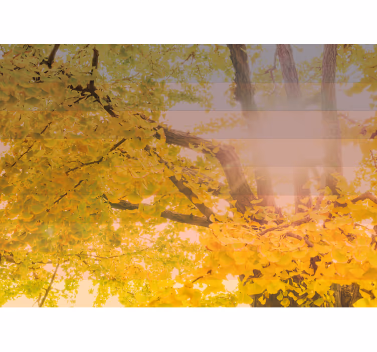 Tenda a rullo cameretta scena autunnale scintillante - TenStickers