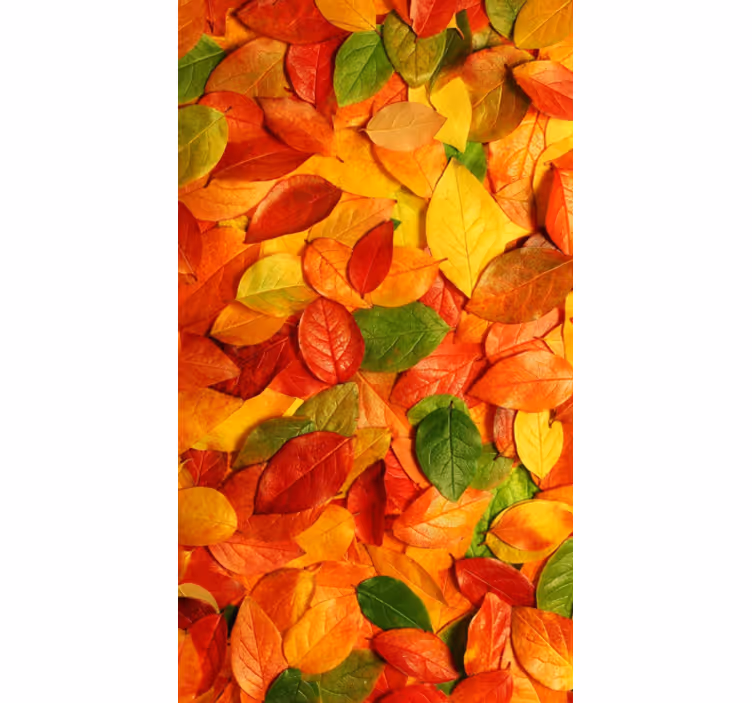 Tenda a rullo cucina foglie decorative autunnali - TenStickers