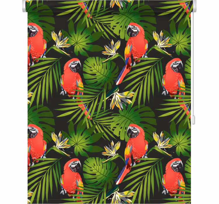 Tenda a rullo cucina pappagalli colorati su sfondo grigio - TenStickers