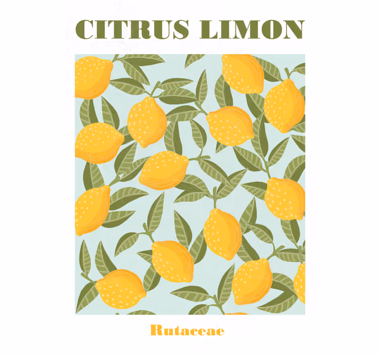 Tenda a rullo cucina frutta di limone - TenStickers