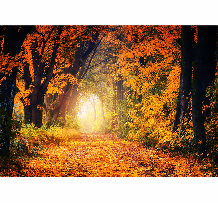 Tenda a rullo camera da letto foresta autunnale colorata - TenStickers