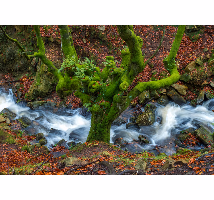 Tenda a rullo soggiorno gorbea - TenStickers