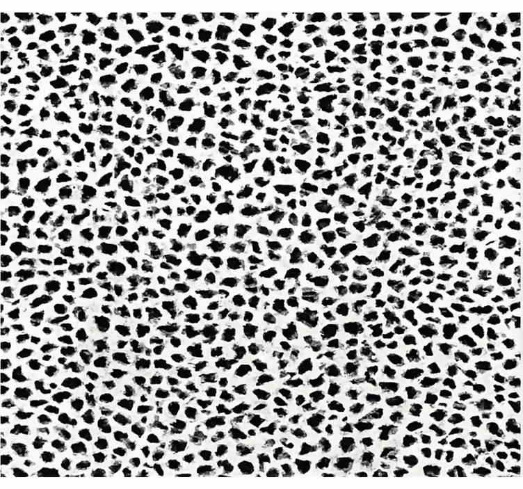 Tenda a rullo nera stampa leopardata monocromatica - TenStickers