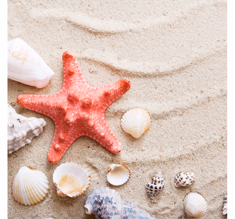 Tenda a rullo bagno stelle marine e conchiglie su sabbia - TenStickers