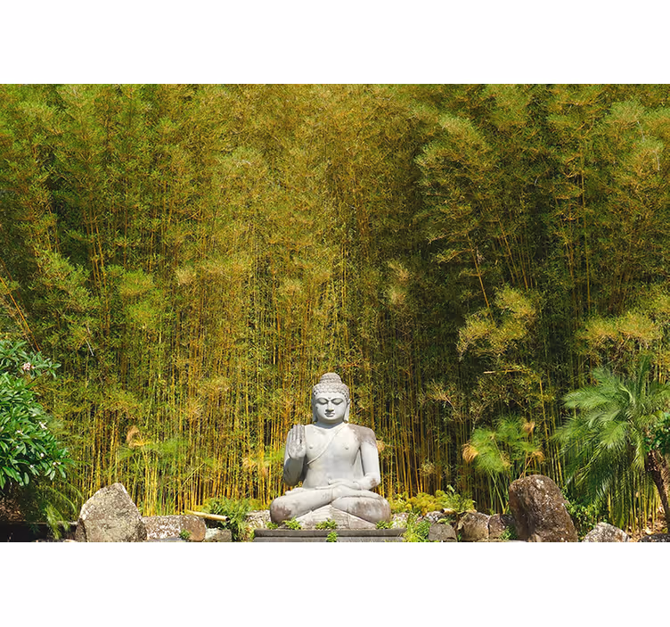 Tenda a rullo zen buddha grigio che guarda la natura verde - TenStickers