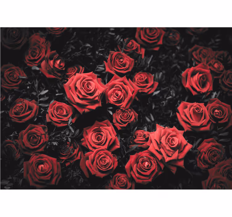 Tenda a rullo rossa bianca e nera con rose rosse - TenStickers
