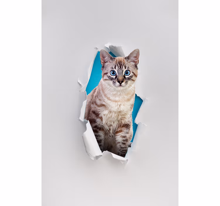 Tende a rullo più animali Gatto - TenStickers