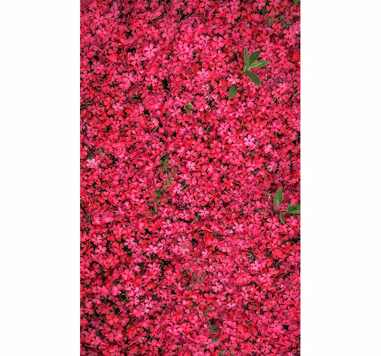 Tenda a rullo fiori e piante abbondanza vibrante - TenStickers