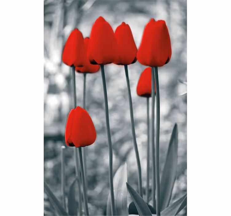 Tenda a rullo floreale Tulipani rossi colorati - TenStickers