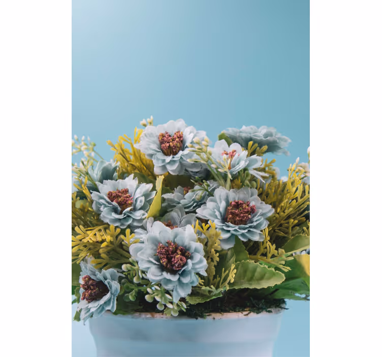 Tenda a rullo fiori e piante disposizione succulenta - TenStickers