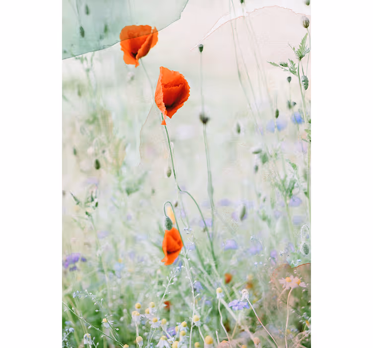 Tenda a rullo con fiori soggiorno con papaveri rossi - TenStickers