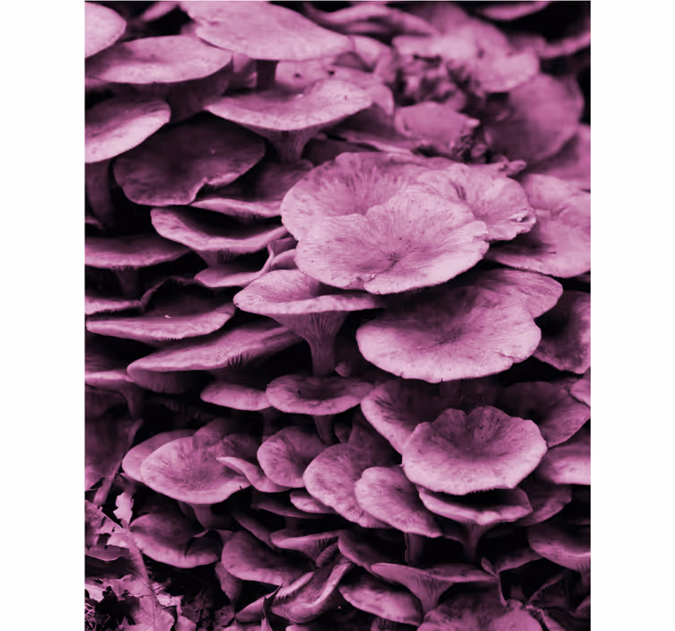 Tenda a rullo fiori e piante strati floreali vibranti - TenStickers