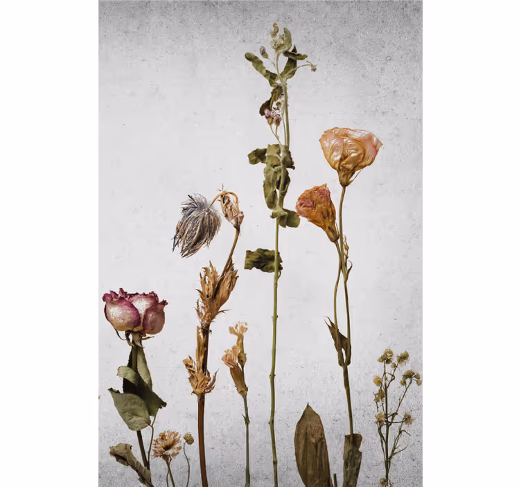 Tenda a rullo fiori e piante composizione di fiori secchi - TenStickers
