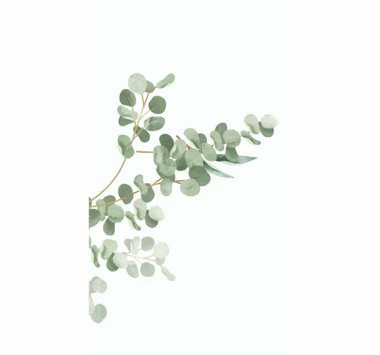 Tenda a rullo fiori e piante disegno del ramo di eucalipto - TenStickers