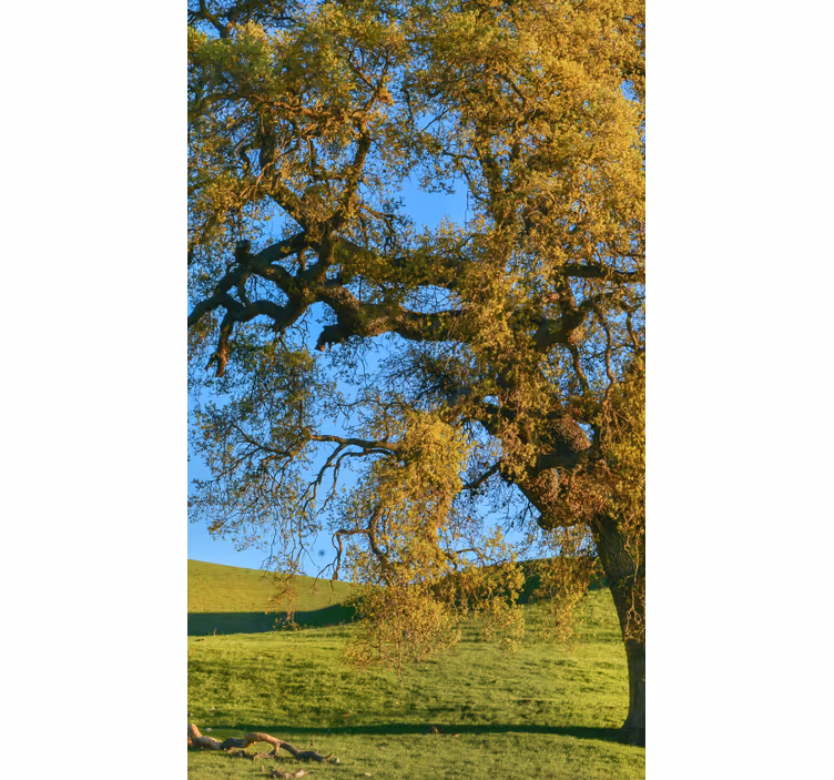 Tenda a rullo con paesaggio verde - TenStickers