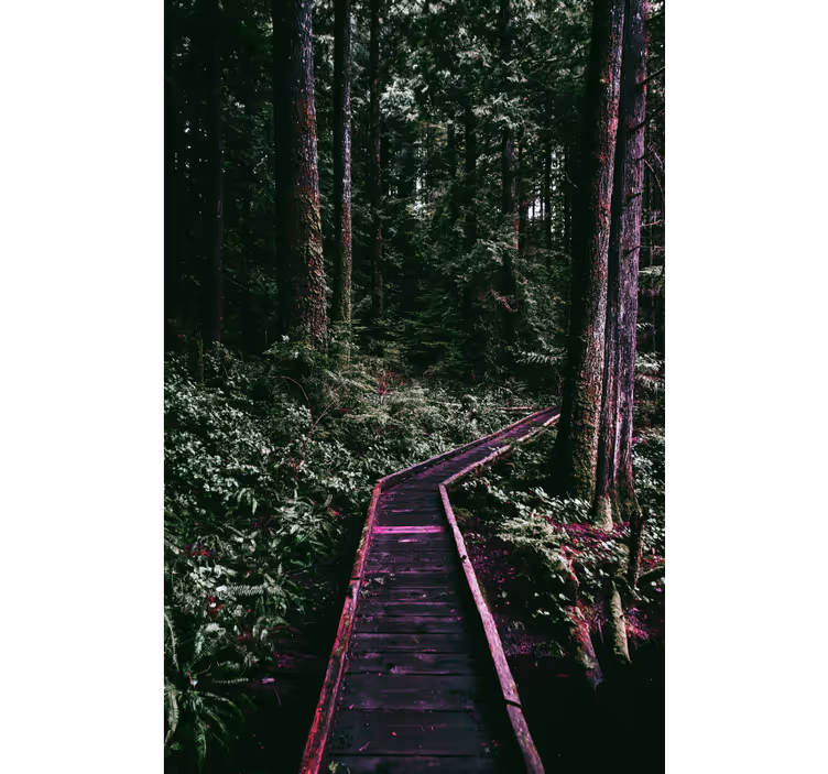 Tenda a rullo alberi sentiero forestale - TenStickers