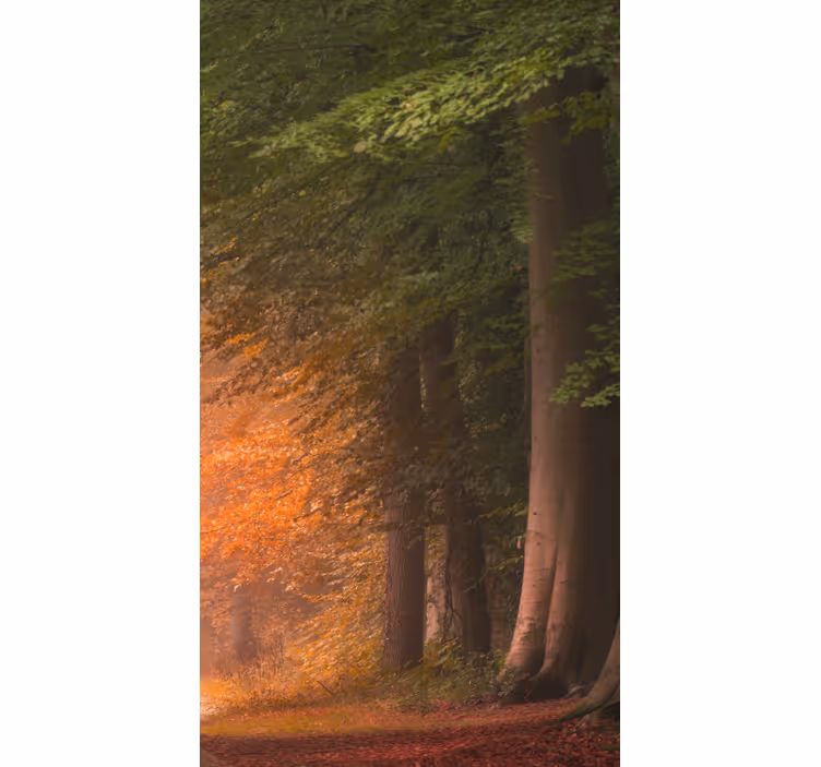 Tenda a rullo con foresta autunnale - TenStickers