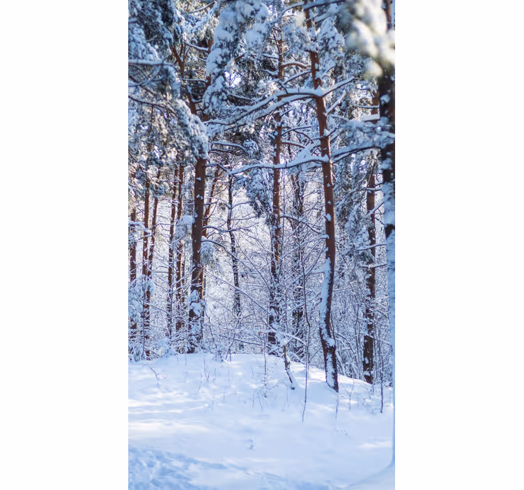 Tenda a rullo alberi foresta di pini innevati - TenStickers