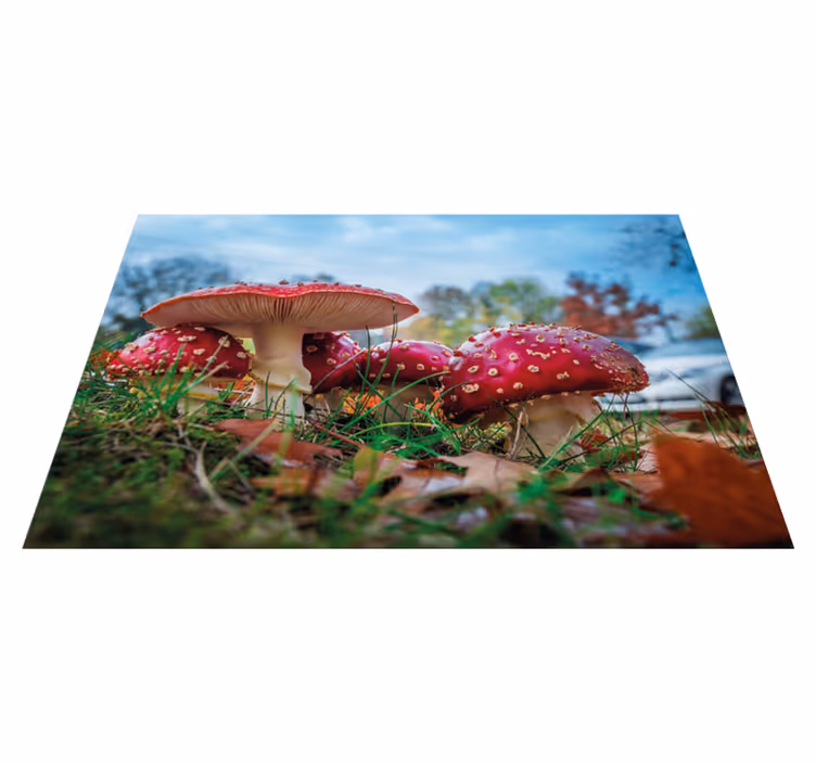Tovaglietta americana moderna scena culinaria funghi - TenStickers
