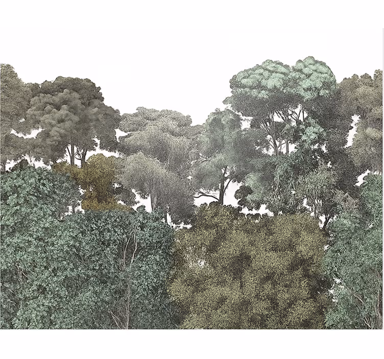 Carta da parati per ragazzi motivo della foresta pluviale - TenStickers