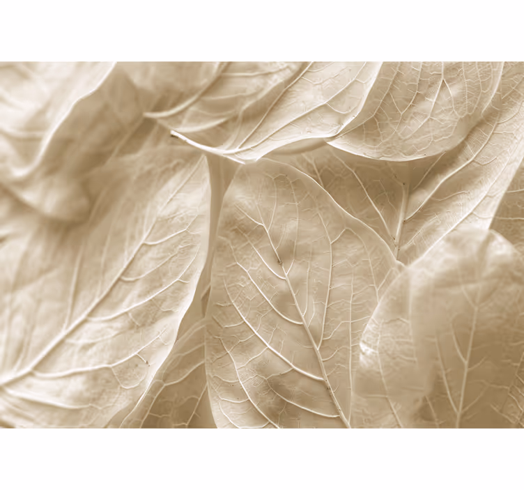 Fotomurale camera da letto grandi foglie beige - TenStickers