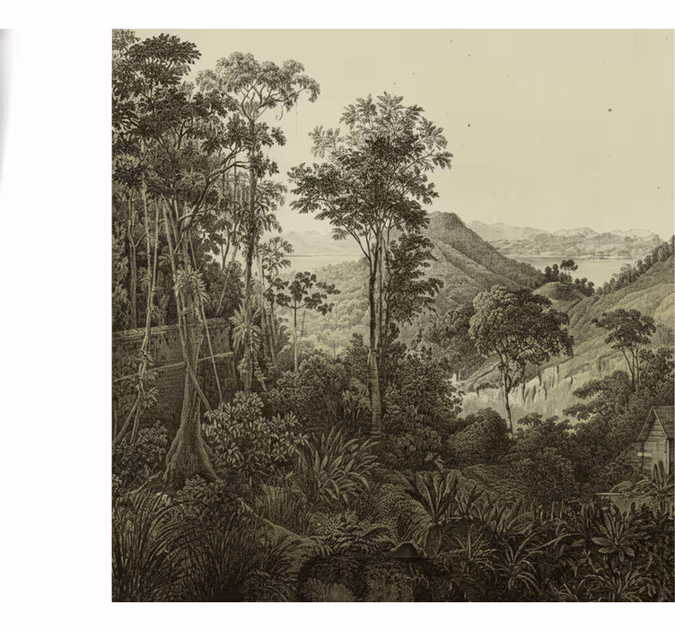 Carta da parati foresta stampa collinare - TenStickers