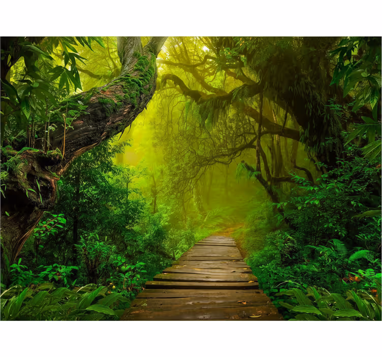Carta da parati foresta sentiero della foresta mistica - TenStickers