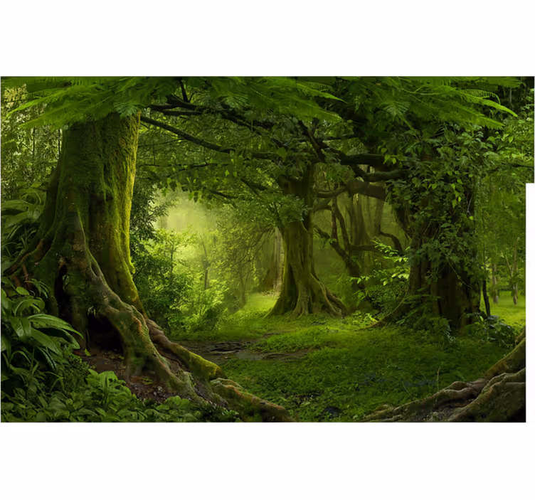 Carta da parati foresta fuga nel bosco lussureggiante - TenStickers