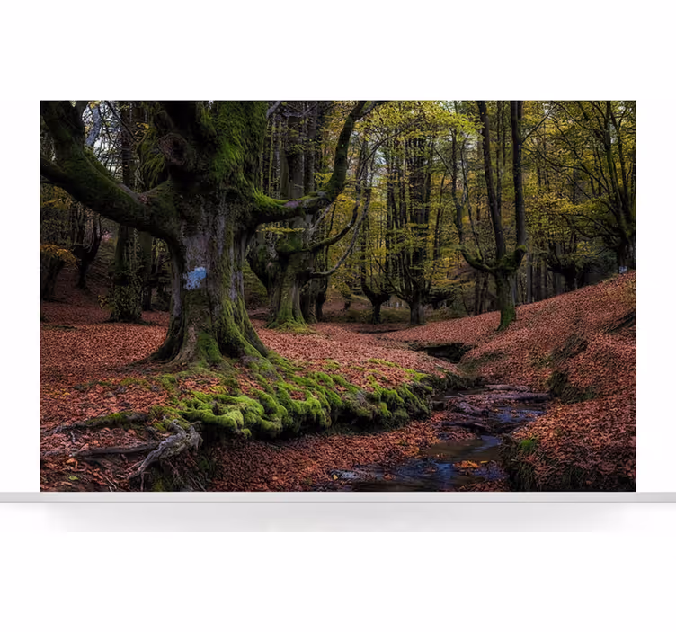 Carta da parati foresta bosco d'autunno incantato - TenStickers