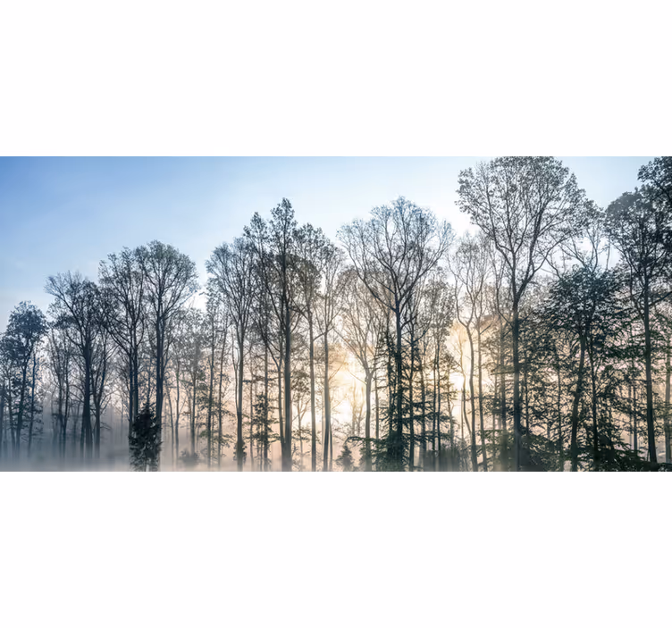 Carta da parati foresta prato mattutino nebbioso - TenStickers