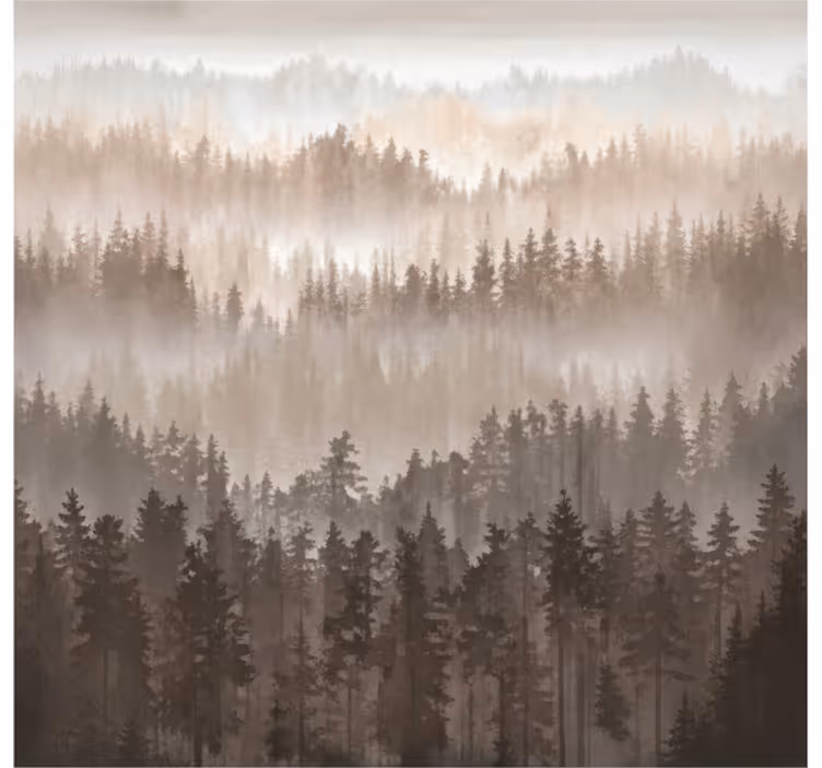 Fotomurale paesaggi strati di foresta in legno - TenStickers