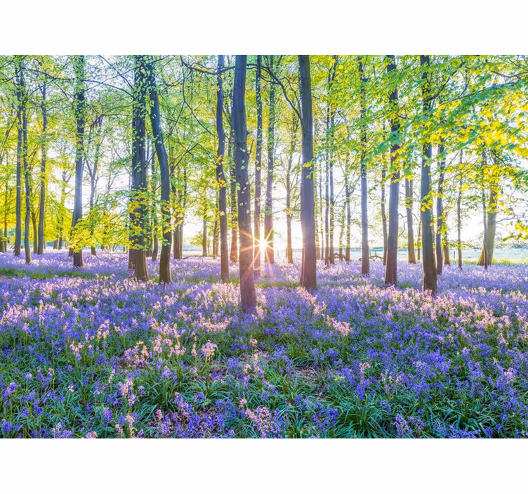 Carta da parati foresta modernismo ispirato alla natura - TenStickers