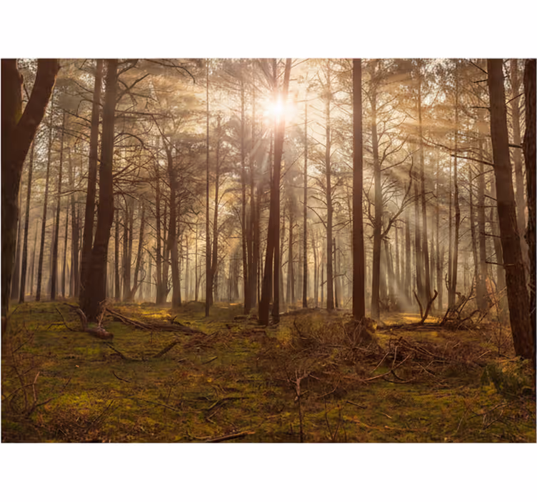 Carta da parati foresta salotto della fauna dorata - TenStickers