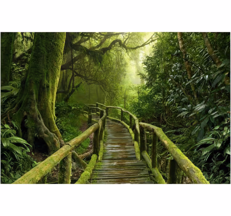 Carta da parati foresta sentiero muschioso lussureggiante - TenStickers