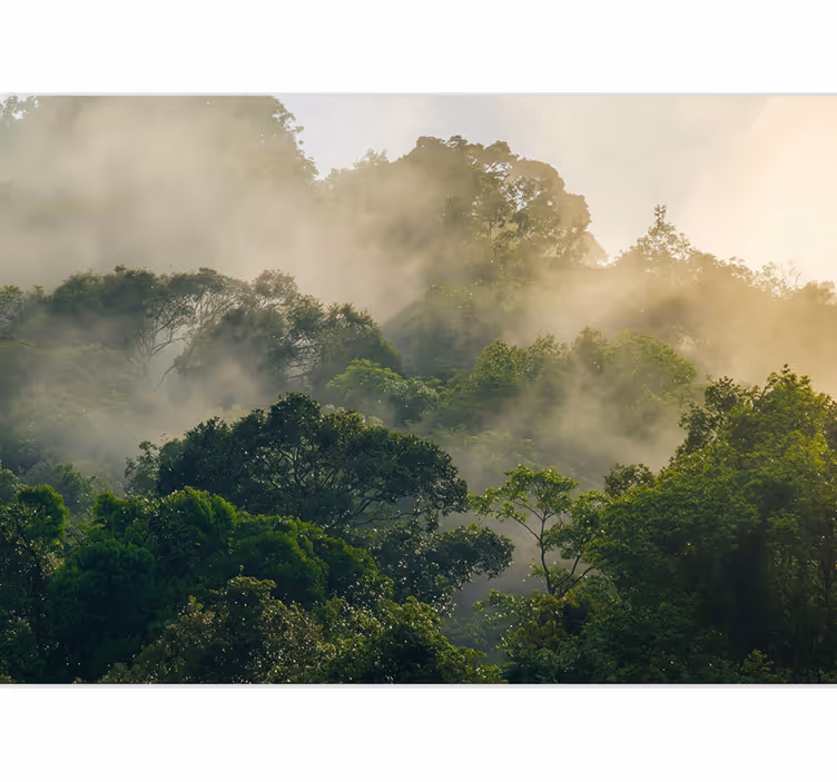Carta da parati foresta copertura della giungla lussureggiante - TenStickers