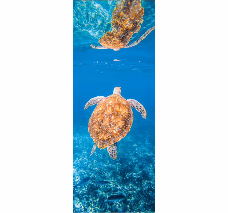 Fotomurale per bagno tartaruga bella sott'acqua - TenStickers
