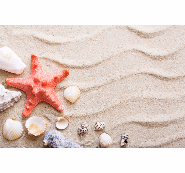 Fotomurale per bagno stelle marine e conchiglie sulla sabbia - TenStickers
