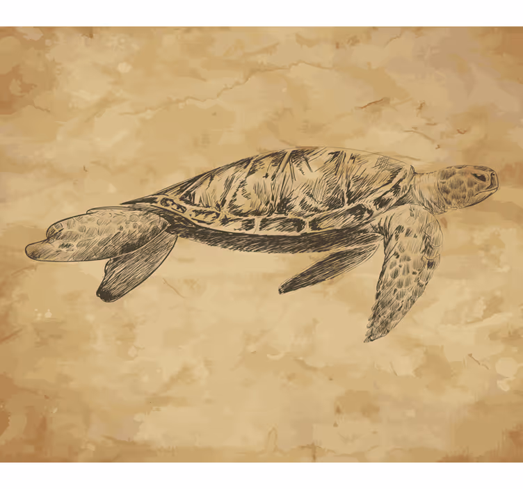 Fotomurale beige illustrazione tartaruga - TenStickers