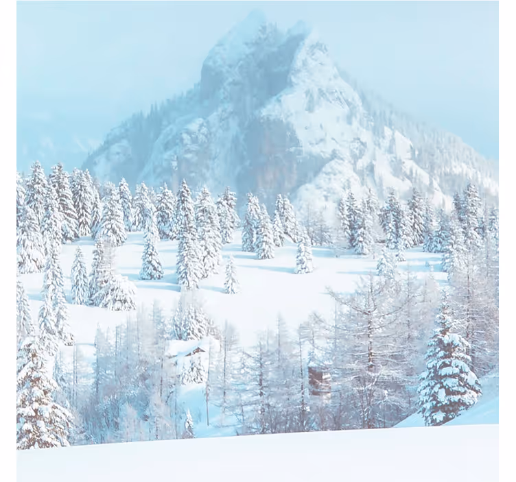 Fotomurale blu fotografia invernale estetica - TenStickers