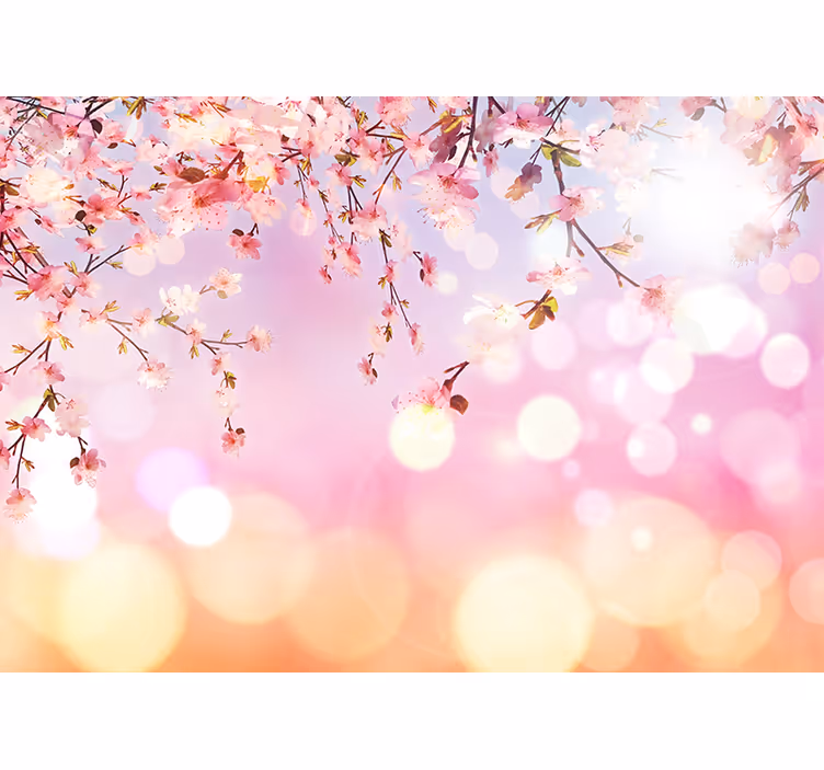 Fotomurale rosa fiori di ciliegio 3d - TenStickers