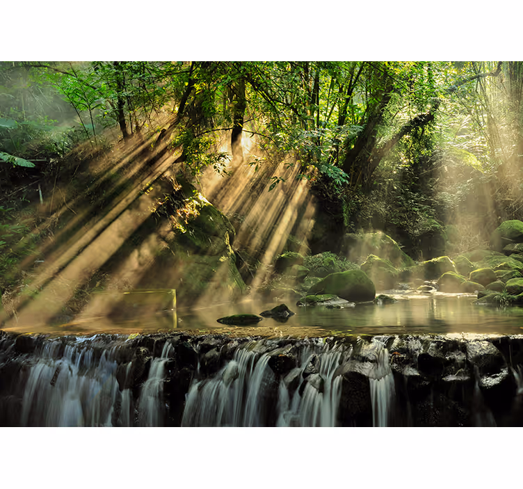 Fotomurale verde cascata nel bosco illuminato - TenStickers