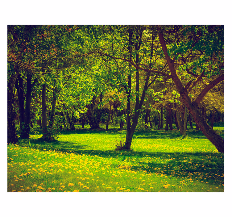 Fotomurale verde vista serena della foresta - TenStickers