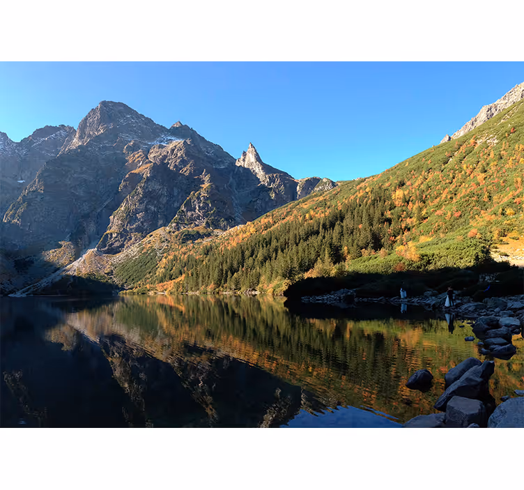 Fotomurale verde morskie oko in primavera - TenStickers