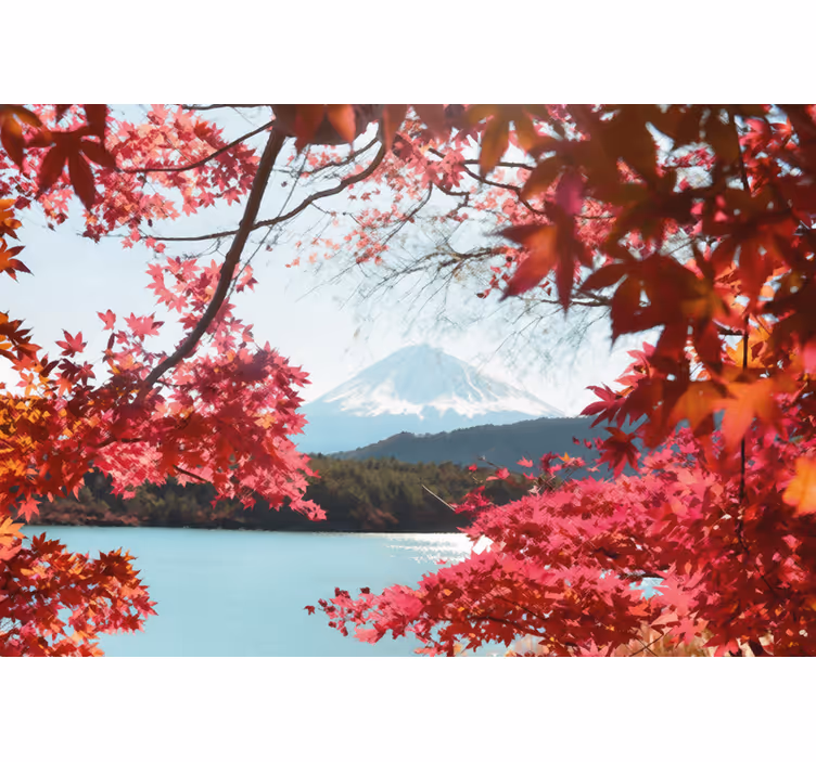 Fotomurale per ingresso foglie rosse nel bosco - TenStickers