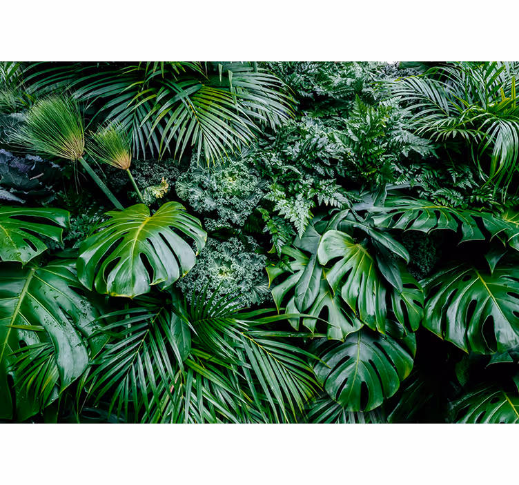 Moderno fotomurale 3D paesaggio con vegetazione - TenStickers