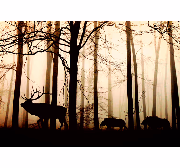 Suggestivo fotomurale moderno animali nel bosco - TenStickers