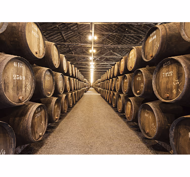 Fotomurale cantina con botti di vino - TenStickers