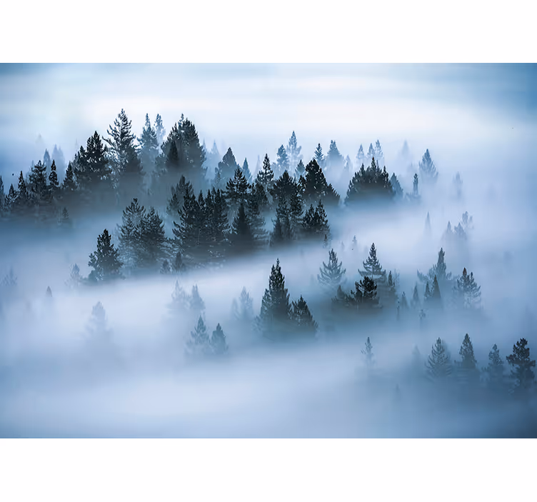 Fotomurale di paesaggio nella nebbia mattutina - TenStickers