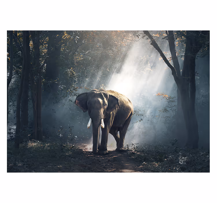 Fotomurale animali elefante maestoso della foresta - TenStickers